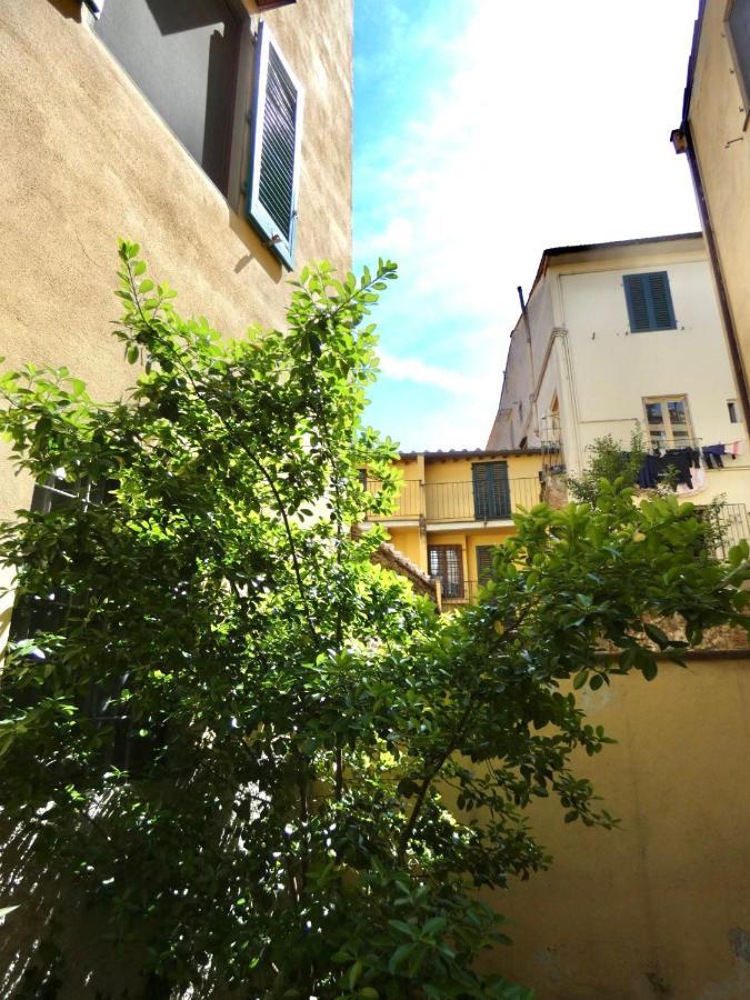 Maila Apartments 25Min From Florence Prato  Exteriör bild